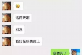 吉安贷款清欠服务